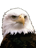 eagle.gif (11254 bytes)